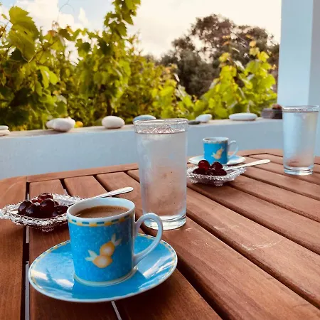 Anevalousa House Feriehus Moutsoúna