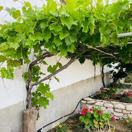 Anevalousa House * Moutsoúna