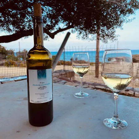 Anevalousa House Moutsoúna