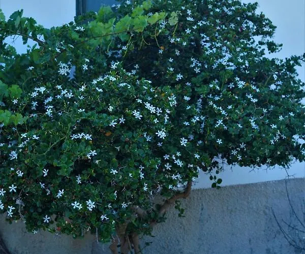 בית נופש Anevalousa House Moutsoúna