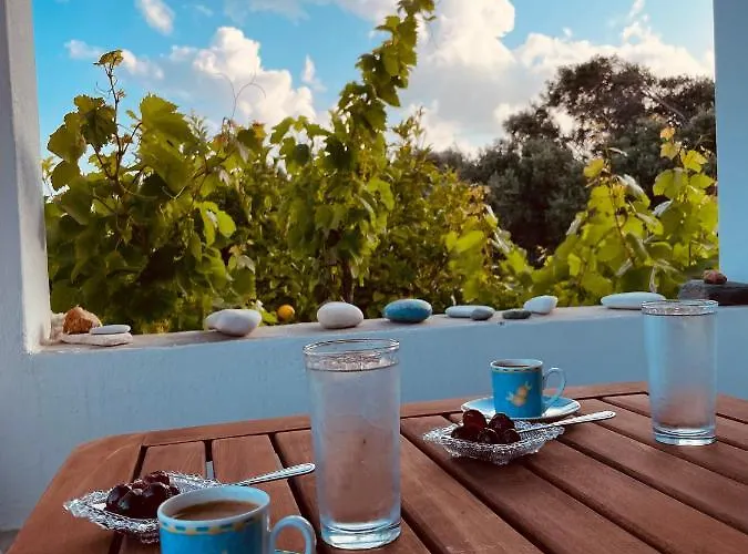 Anevalousa House Moutsoúna