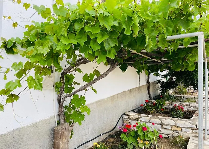 Anevalousa House * Moutsoúna