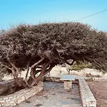 Anevalousa House Moutsoúna