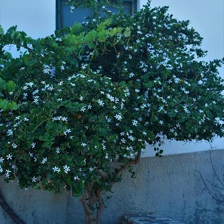 בית נופש Anevalousa House Moutsoúna