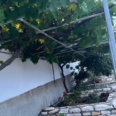 Anevalousa House * Moutsouna