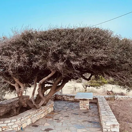 Anevalousa House Moutsouna