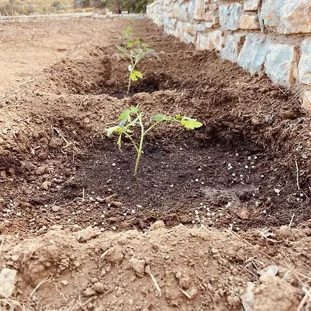 Anevalousa House * Moutsoúna