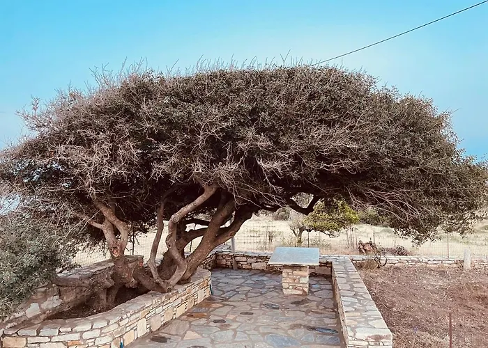 Anevalousa House Moutsoúna