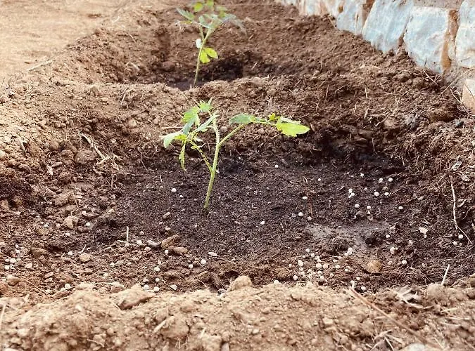 Anevalousa House * Moutsoúna