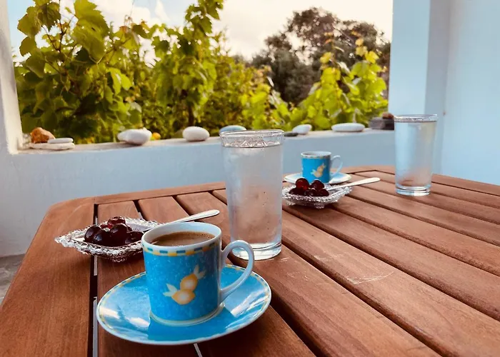 Anevalousa House Vakantiehuis Moutsoúna