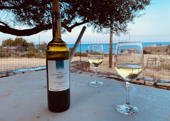 Anevalousa House Moutsoúna